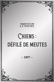 Poster Chiens : défilé de meutes