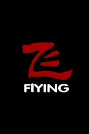飞) 飞 (2006)