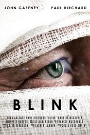 Poster Blink 2013