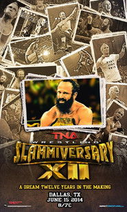 TNA Slammiversary XII