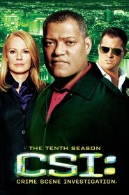 CSI: Las Vegas Temporada 10 Capitulo 21