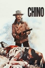 Poster Chino 1973