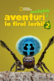 A Real Bug's Life Season 2 18