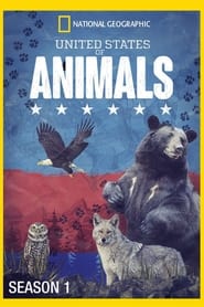 United States of Animals постер