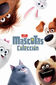 Mascotas - Colección
