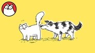 It's A Dog's Life