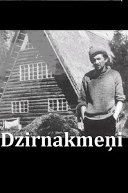 Poster Dzirnakmeņi 2015