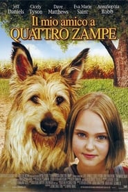 Il mio amico a quattro zampe bluray italia subs completo cinema full
moviea botteghino cb01 ltadefinizione 2005