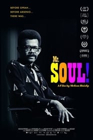 Mr. Soul! постер