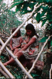 Aguarunas