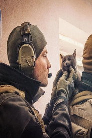 Raid poster