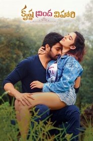 Krishna Vrinda Vihari (Hindi Dubbed)