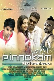 Poster Pinnokam 2015
