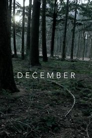 Poster December 2010
