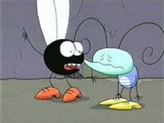 It's a Wonderful Fly