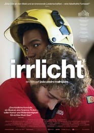 Poster Irrlicht