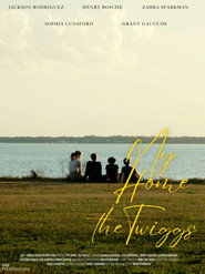 My Home: The Twiggs