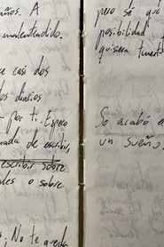 Releyendo mi diario (Autorretrato)