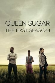 Queen Sugar Temporada 1 Capitulo 5