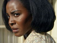 Image Vidente Por Acidente