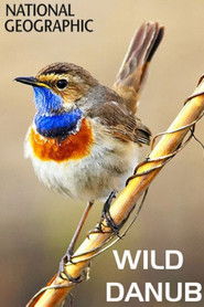 MongoDB.Entities.FuzzyString