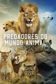 Image Predadores do Mundo Animal