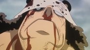  one piece tube