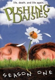 Um Toque de Vida: Temporada 1