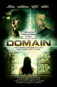 Domain постер