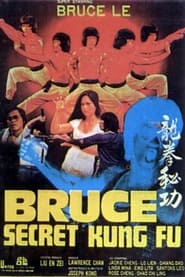 Bruce's Secret Kung Fu постер
