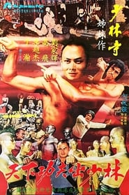Fury in Shaolin Temple постер