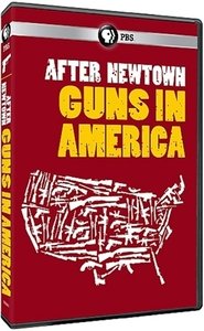 After Newtown Guns In America