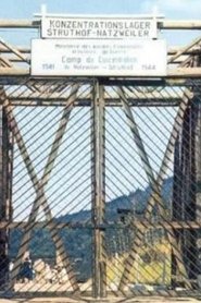 Struthof, le camp oublié