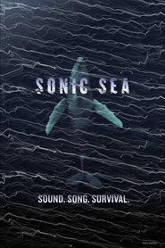 Sonic Sea (2016) Sonic Sea (2016)