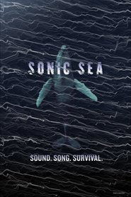 Sonic Sea film en streaming