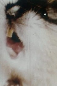 فيلم Lämmelår 1972 مترجم أون لاين