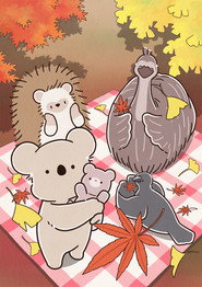 Koala's Diary постер