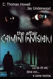The Affair: Crimini invisibili