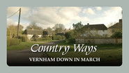 Vernham Down in March