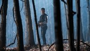 The Punisher / Наказателят