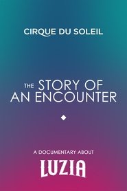 Poster The Story Of An Encounter