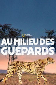 Affiche d’Au milieu des guépards