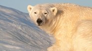 Svalbard