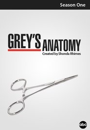 Grey's Anatomy - Season 1 Episode 1 : A Hard Day's Night