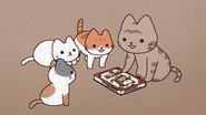 The Genesis of Cats