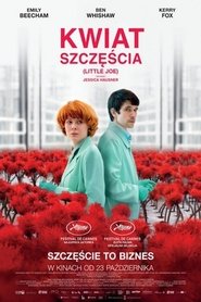 Kwiat szczęścia CDA PL
