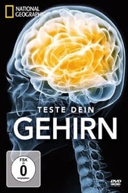 Poster Test Your Brain - Season 1 Episode 2 : Episode 2 2011