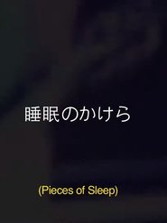 Poster Pieces Of Sleep: The 1993 Japan Tour Re-Imagined 2020
