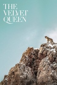 Poster The Velvet Queen 2021