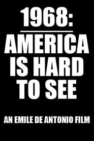 America Is Hard to See постер
